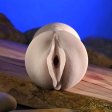 (image for) Zero Tolerance Sasha Grey movie download w/ Mini Vagina Stroker