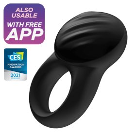 ? Signet Ring (100% off)