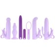 (image for) Evolved Lilac Desires 7pc Silicone Kit