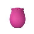 (image for) Blush Collection The Original Blush Rose