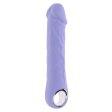 (image for) TESTER - Evolved Purple Fantasy