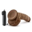 (image for) Coverboy - The Boxer - 9" Vibrating Realistic Cock - Mocha