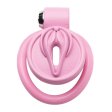(image for) Pussification Chastity Cock Cage