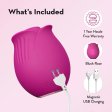 (image for) Blush Collection The Original Blush Rose