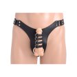 (image for) Male Chastity Harness Silicone Anal Plug