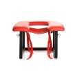(image for) Face Rider Queening Chair