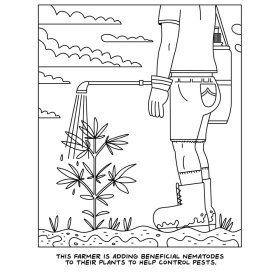 Visit to the Canabis Farm Colouring Book * Visit to the Canabis Farm Colouring Book *