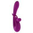 (image for) Playboy Cha Cha Slide