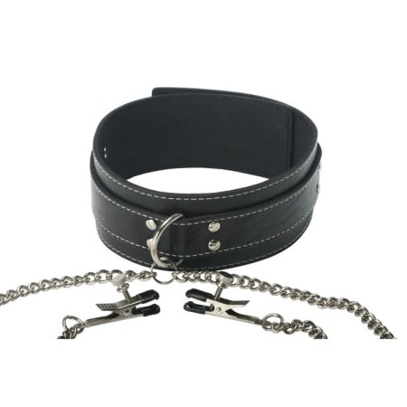 (image for) Coveted Collar and Clamp Union