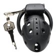 (image for) Lock Down Chastity Cage
