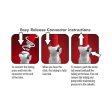 (image for) Temptasia - Intense Pussy Pump System