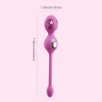 (image for) TESTER - Elektra App-Enabled E-Stim Kegel Trainer