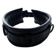 (image for) Leather Padded Collar - Black with Black