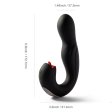 (image for) Joi Pro Rotating Flicking R/C GSpot/Clit